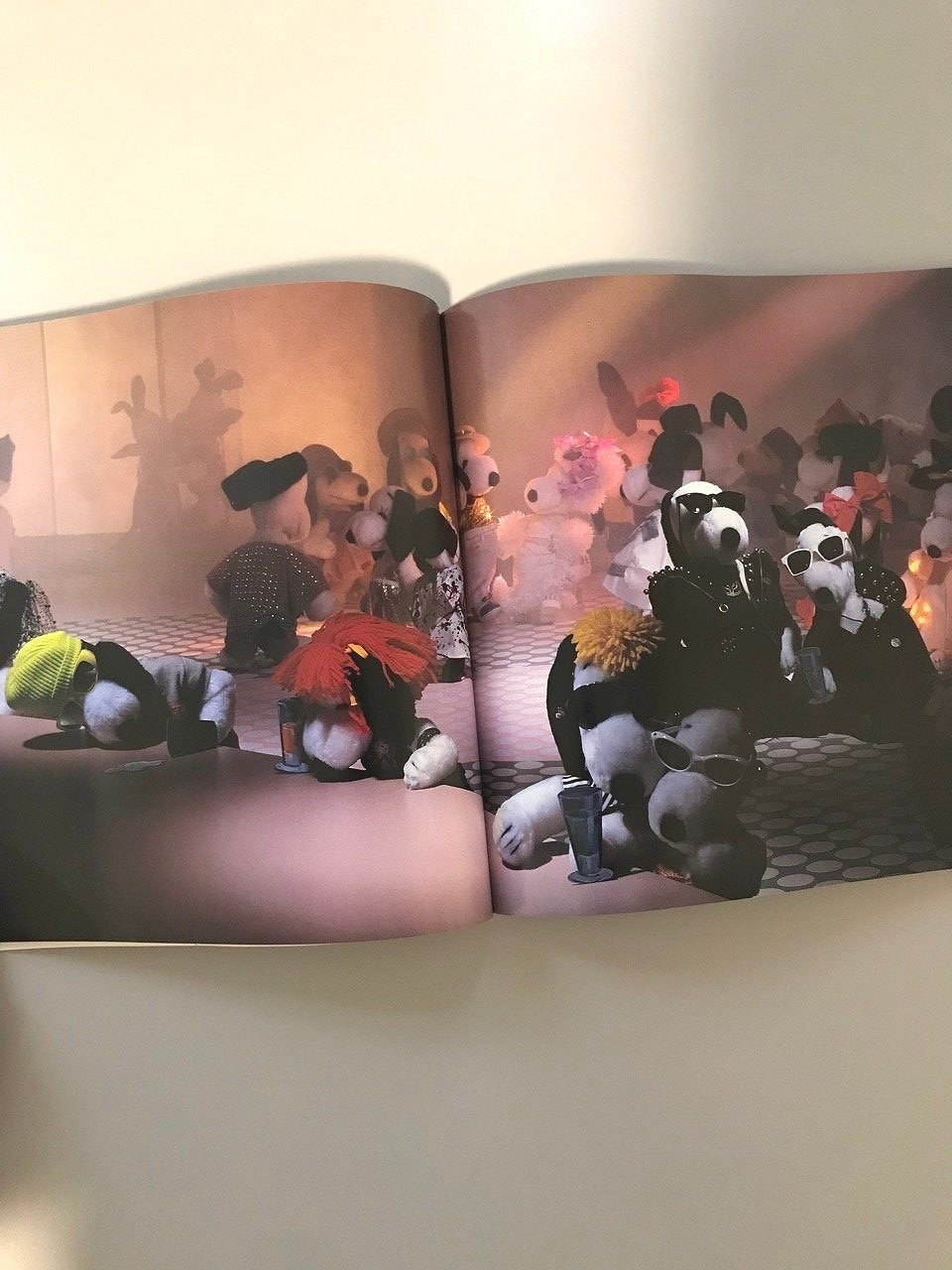 Snoopy in Fashion — Wrong Answer